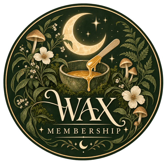 Wax Membership at Moss & Moon in Pflugerville, TX